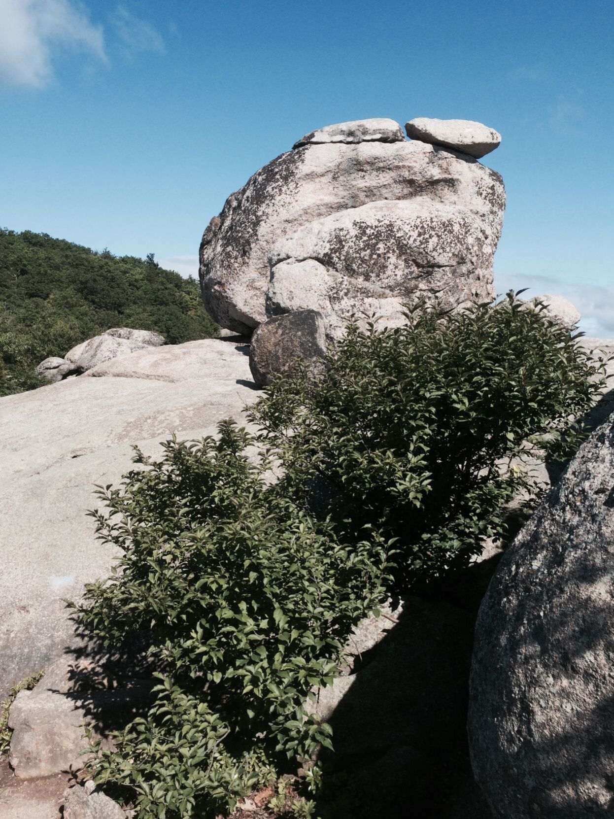 Ridge Trail on old rag loaded with boulders for scrambling over, under, around and between